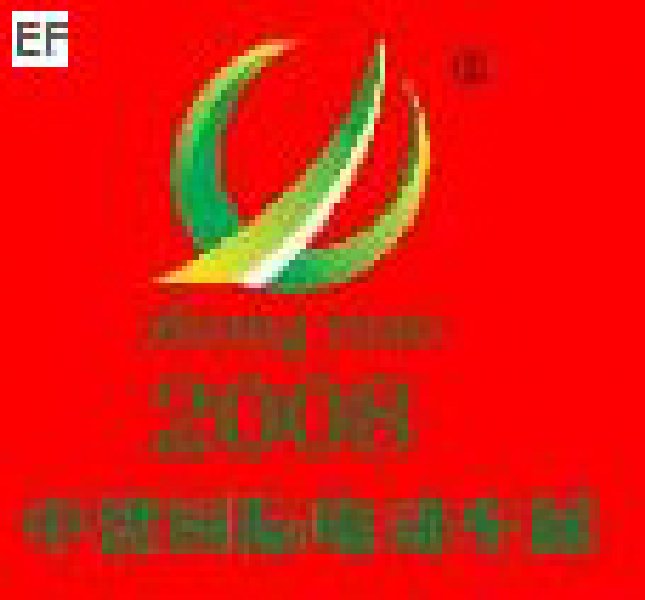 2008第五屆中國(濟(jì)南)國際自行車電動(dòng)車展覽會