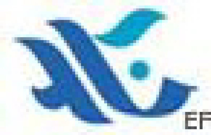 2008國際電力電工及高低壓電器(義烏)采購交易會(huì)